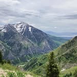 Nick Cuthbert - @cuthbert.nick - Instagram