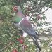 Nick Cuthbertson - Facebook