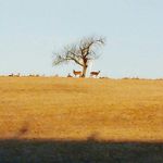 Nick Daigle - @nick.daigle.169 - Instagram