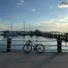 Nick D'Allesandro - @nickdallesandro - TikTok