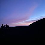 Nick Dalton - @nick_daltonn - Instagram