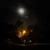 Nick Dane - @nick.dane79 - TikTok