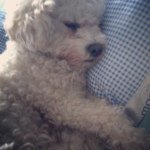 ____nickdanforth - @____nickdanforth - Instagram
