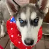Nick Daniels - @nick.daniels530 - TikTok