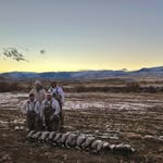 Nick Danielson - @nick__danielson - Instagram