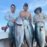 Nick D'Arrigo - @nickdarrigo - Instagram
