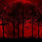 Nick Dau - Facebook