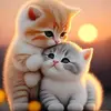 @Nickdaudo1@ - @fatimadaudo1 - TikTok