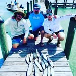 Clean-N-Dry Services - @nickdear14 - Instagram
