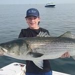 Nick DeCesare - @nickdecesare08 - Instagram