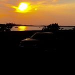 Nick DeFelice - @nickyd_225_ - Instagram