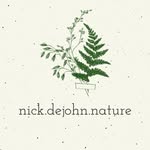 Nick DeJohn - @nick.dejohn.nature - Instagram