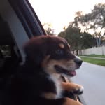 Nicholas Derenzo - @nicholasderenzo - Instagram