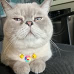 Nick Do - Facebook