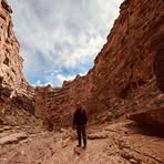 Nick Doman - Facebook