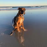 Nick Donofrio - @ndonofrio5 - Instagram