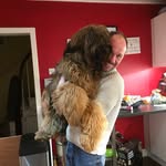Nick Dorgan - @dorgannick - Instagram