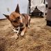 Nick Dowell - Facebook