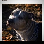 Nick Dowell - @nd19dowell - Instagram