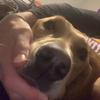 Nick Downey - @nick.downey - TikTok