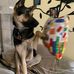 Nick Duda - Facebook
