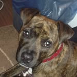 Nick - @nickdunkley235 - Instagram
