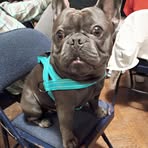 Nicholas Durfee - Facebook