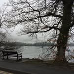 Nicky Duthie - @nickyduthie - Instagram