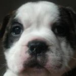 Nick Dutton - @dtzy1k - Instagram