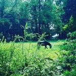 Nick dutton - @dutton5372 - Instagram