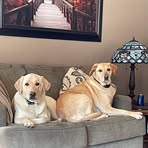Nick Dvorak - Facebook