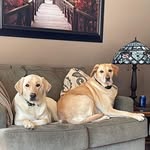 Nick Dvorak - @nick_dvorak1 - Instagram