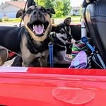 Nick Dvorak - @56_willys - Instagram