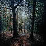 Nick Dyke - @nsd_artistry - Instagram