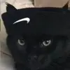 Nick é belinha - @nickebelinha_ - TikTok