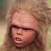 Nickeckhart487 - @nickeckhart487 - TikTok