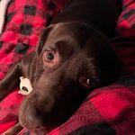 Nick Eckman - @eckman.nick - Instagram