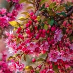 Nick Eddy - Facebook