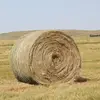 Nick Edgecombe - @nick.edgie7 - TikTok