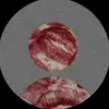 Nicole Edgecomb - @nicole.edgecomb - TikTok