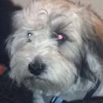Nick Edmonds - @nick.edmonds.123 - Instagram