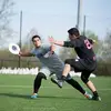 Nick Weggen - @nickweggen - TikTok