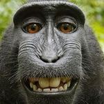 Nick Eggleston - @nick.eggleston.98 - Instagram
