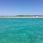Nick Eichhorn - @nick._cgn - Instagram