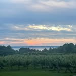 nick - @nick.eisenhauer - Instagram