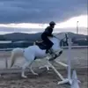 🐎 - @nick_elena - TikTok