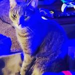 Nick Elmore - @nelmore1212 - Instagram