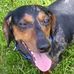 Nicholas Elsey - Facebook