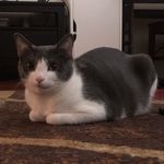 Nick - @nickembry23 - Instagram