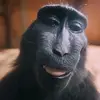 Nick Emery - @nick.emery5 - TikTok